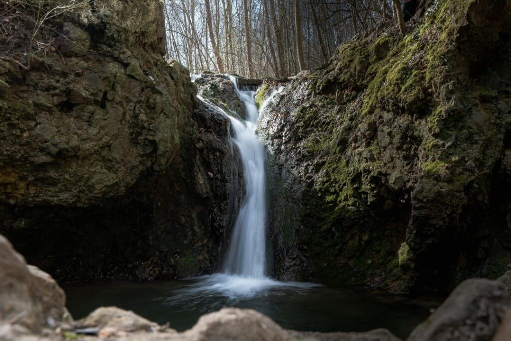 a waterfall in a forest