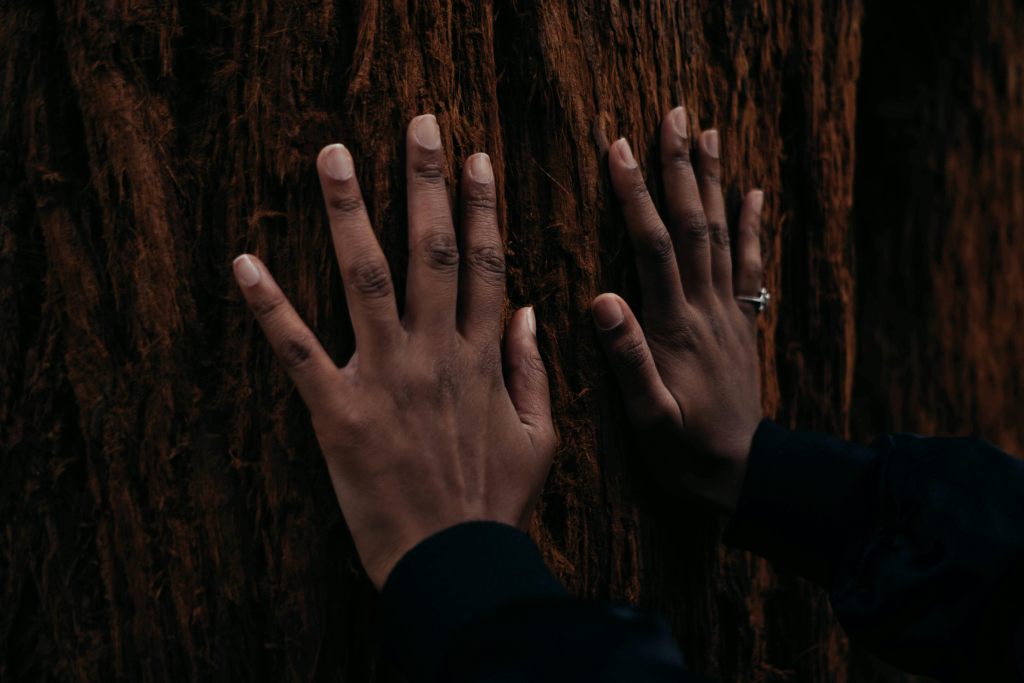 hands against a tree connecting with nature for a wellness experience