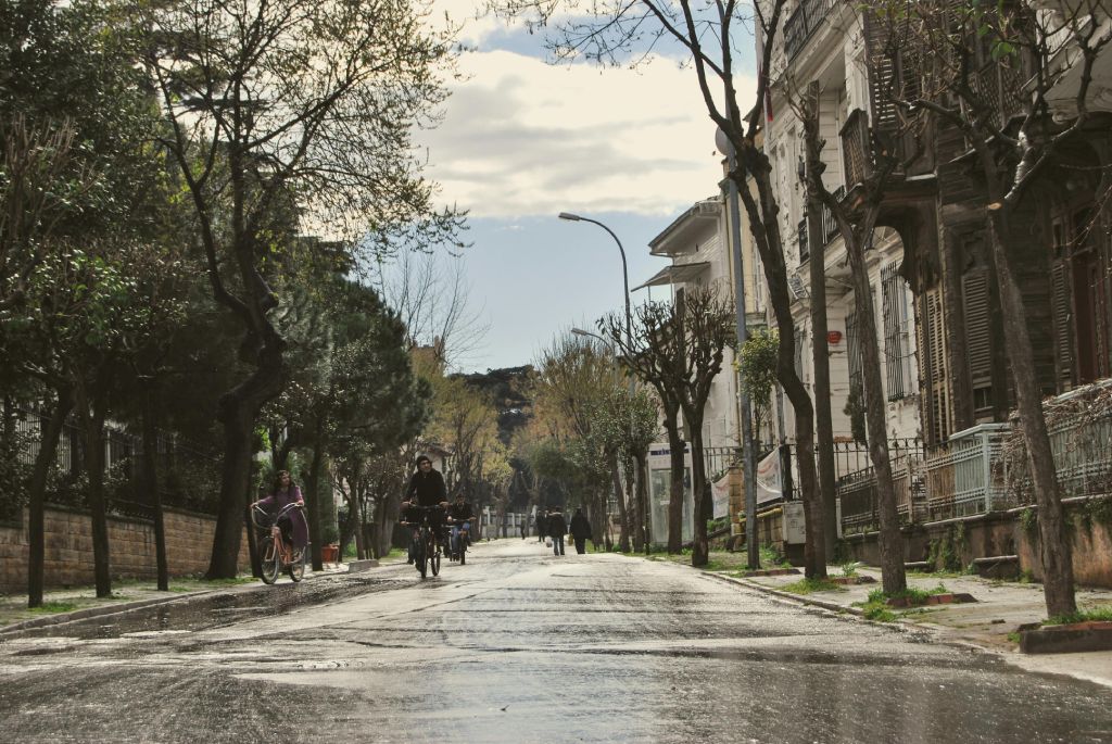 a view of a rain soaked avenue with trees on one side and houses on the other