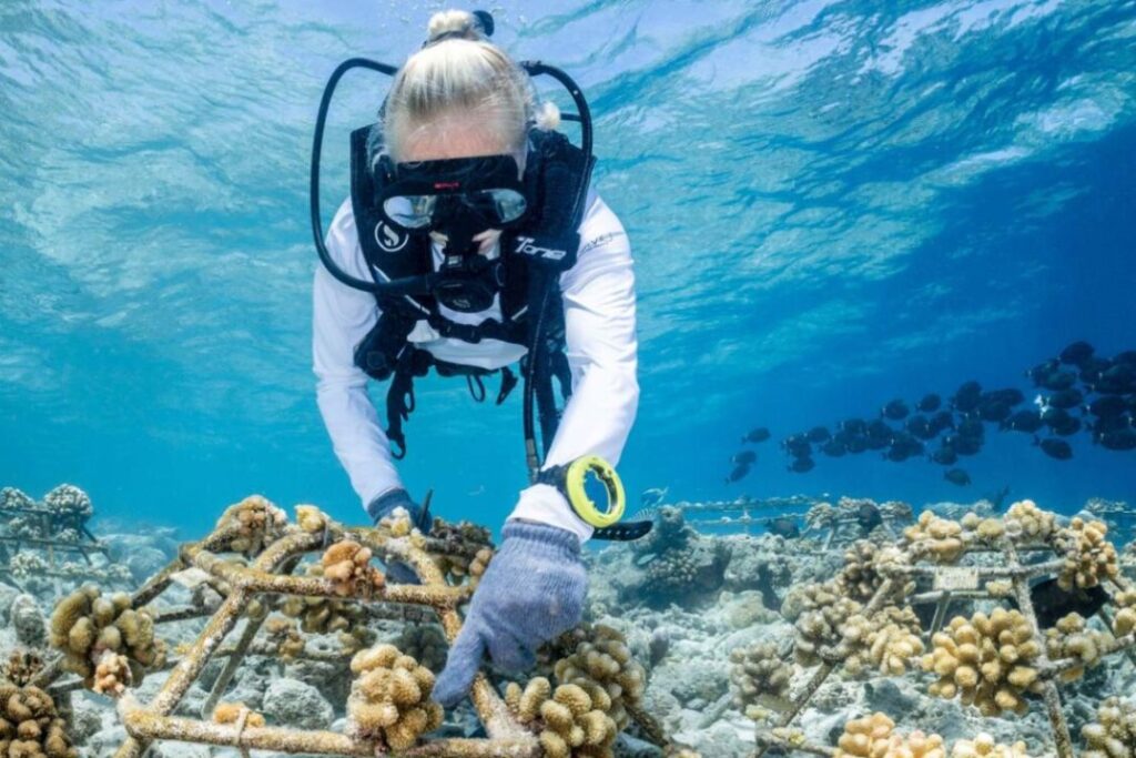 a girl underwater helping with ocean conservation