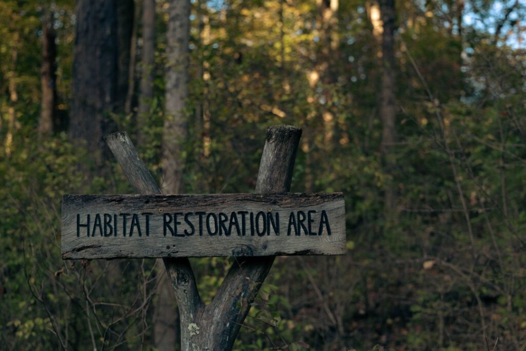 ethical wildlife travel brands who encourage habitat restoration