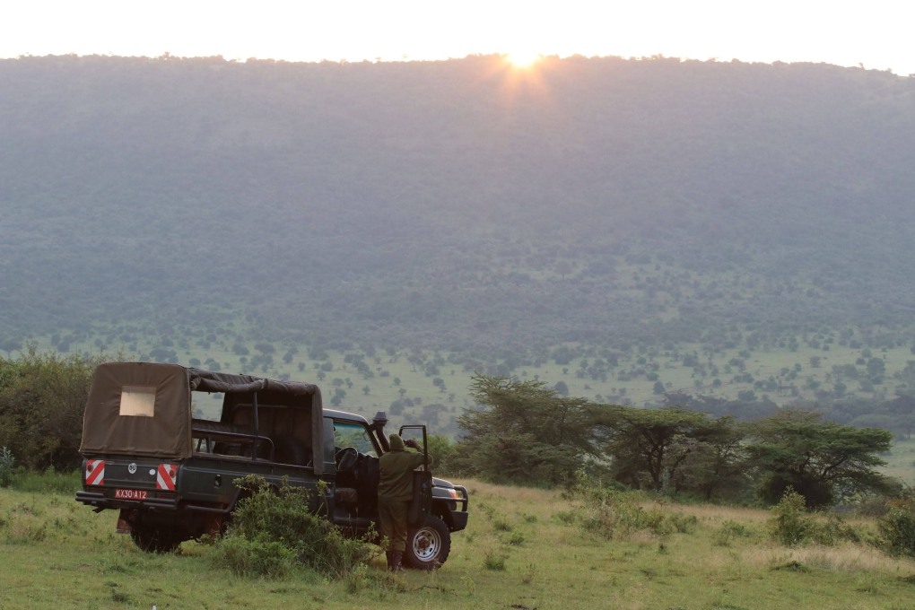 on safari wildlife watching at dusk