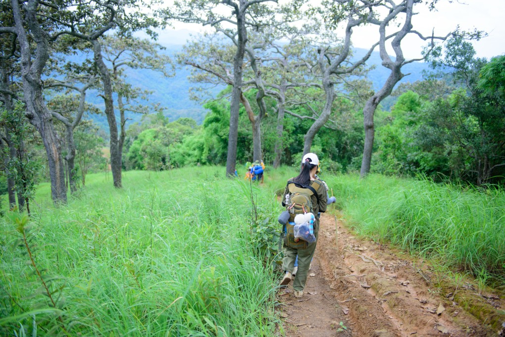 volunteering on an ethical wildlife tour using wildlife tour marketing